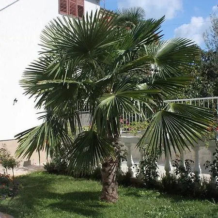 Studio 2995a Apartament